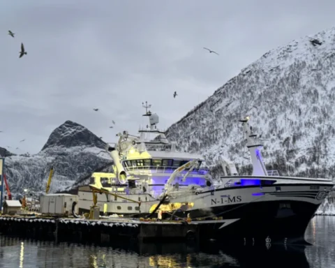 Norway mackerel export price eases slightly, herring to EU lifts