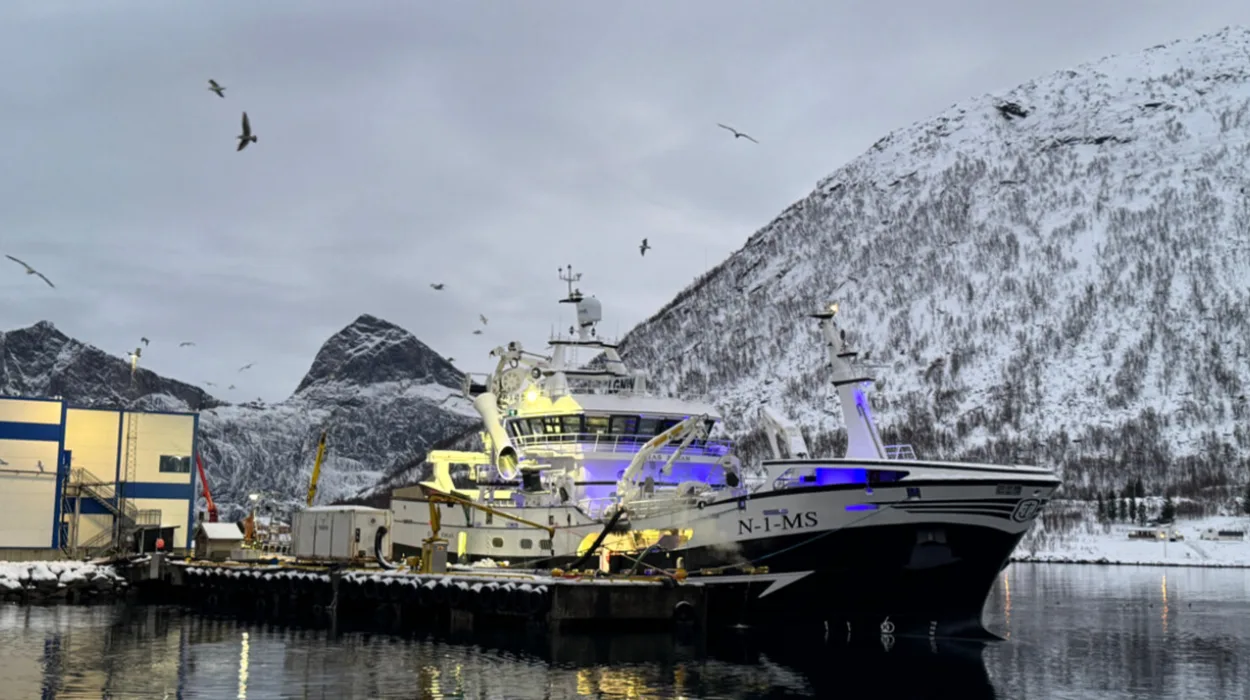 Norway mackerel export price eases slightly, herring to EU lifts